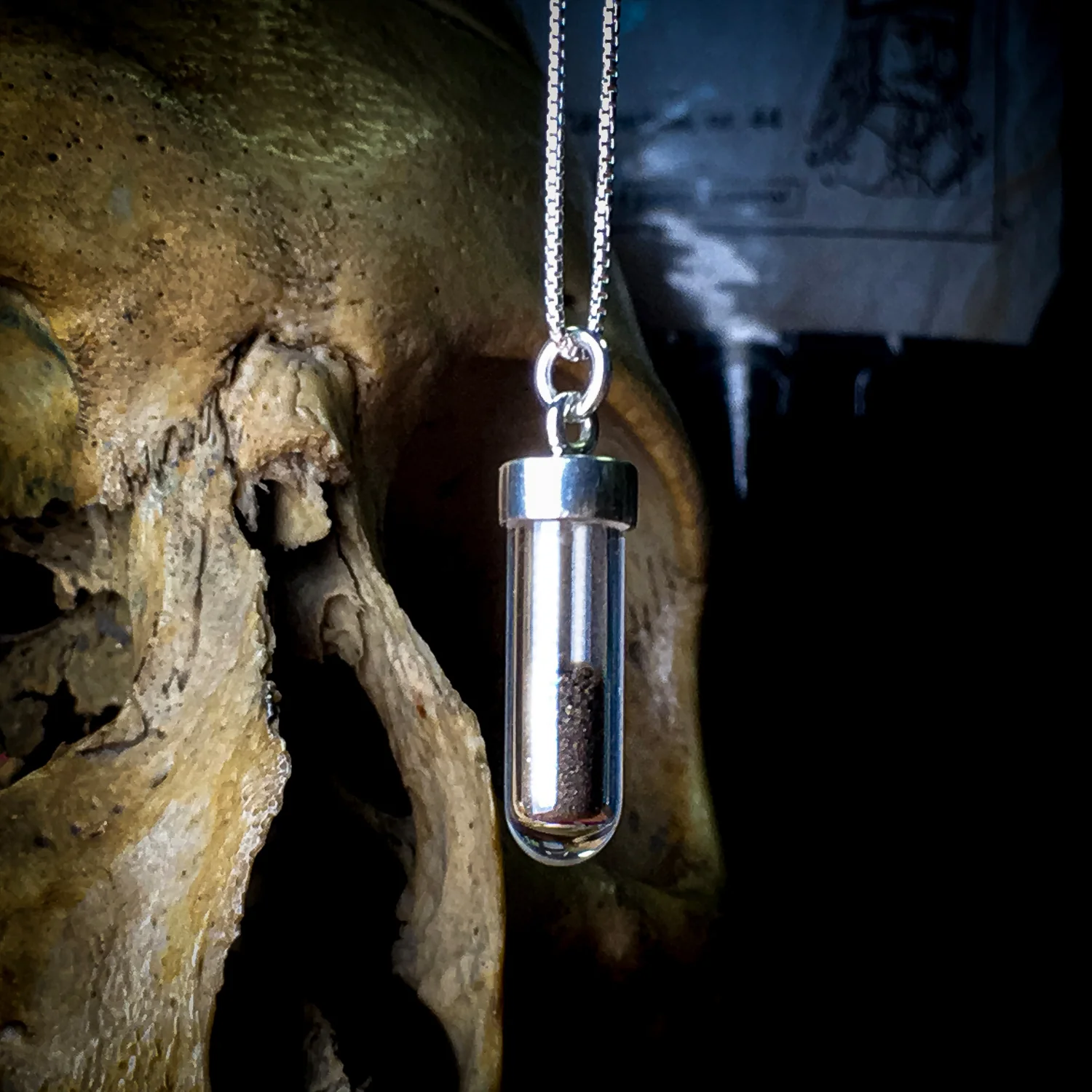 Dracula Soil Vial Necklace š¦ - Image 10