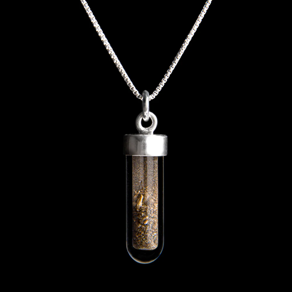 Dracula Soil Vial Necklace š¦ - Image 8