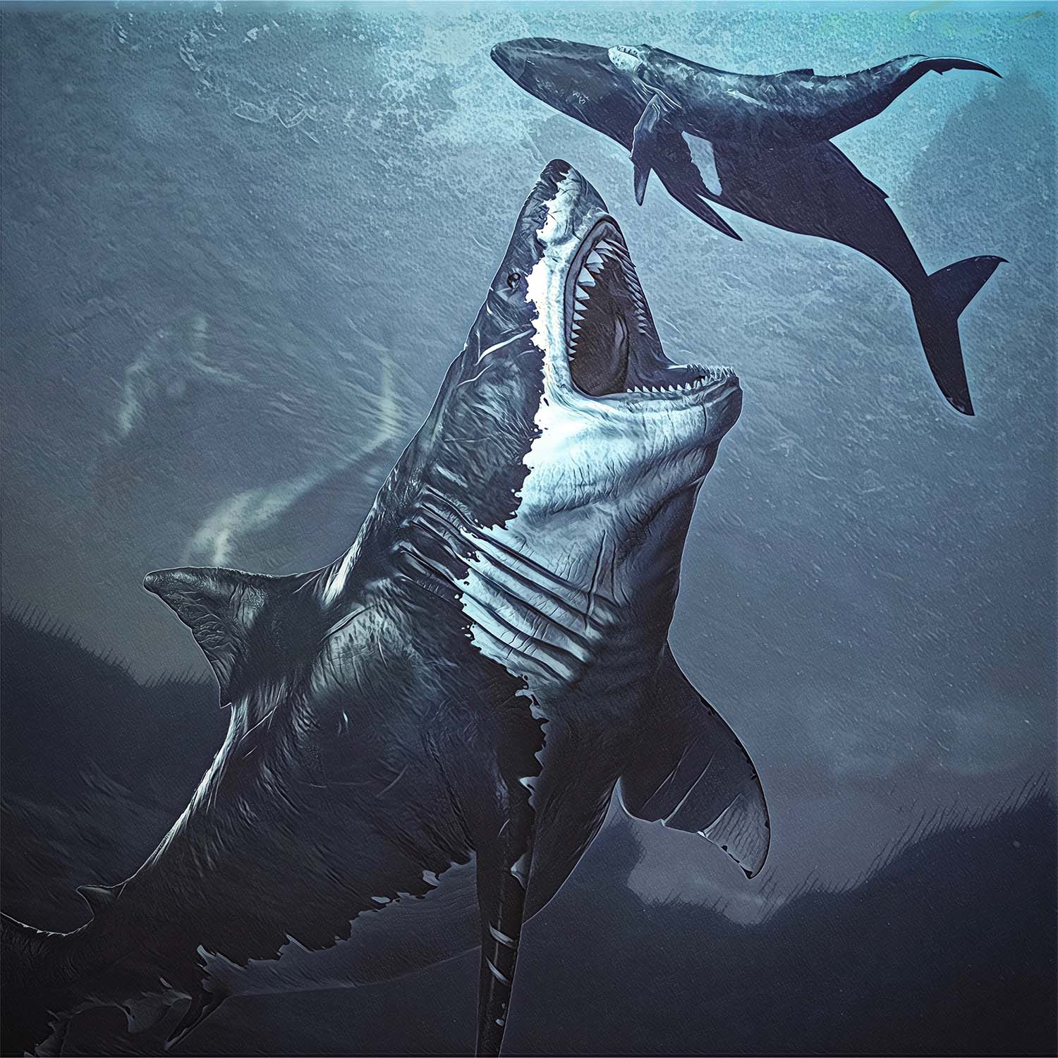 Megalodon Tooth (Boxed Sizes) Natural - Image 3