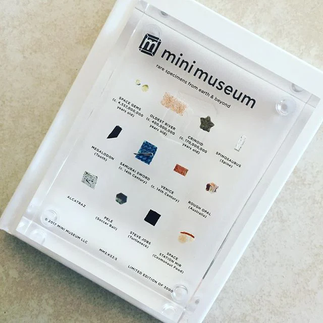 Mini Museum - Third Edition (SMALL - 12 Specimens) - Image 3